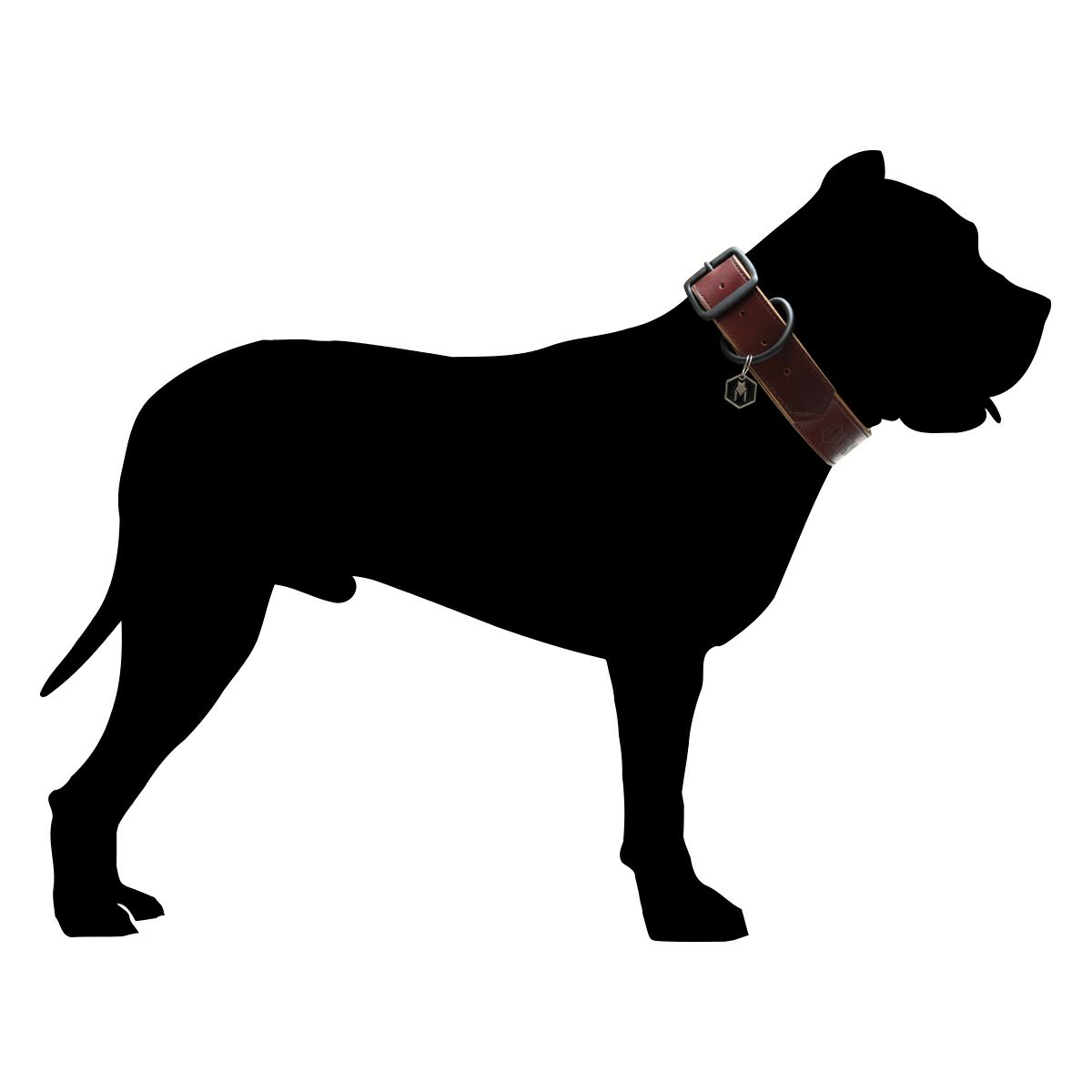 送料関税込【Abbott Lyon】Dog Collar☆首輪 (2色) ♪国内発送☆ 送料関税込【Abbott Lyon】Dog Collar☆可愛い首輪♪国内発送