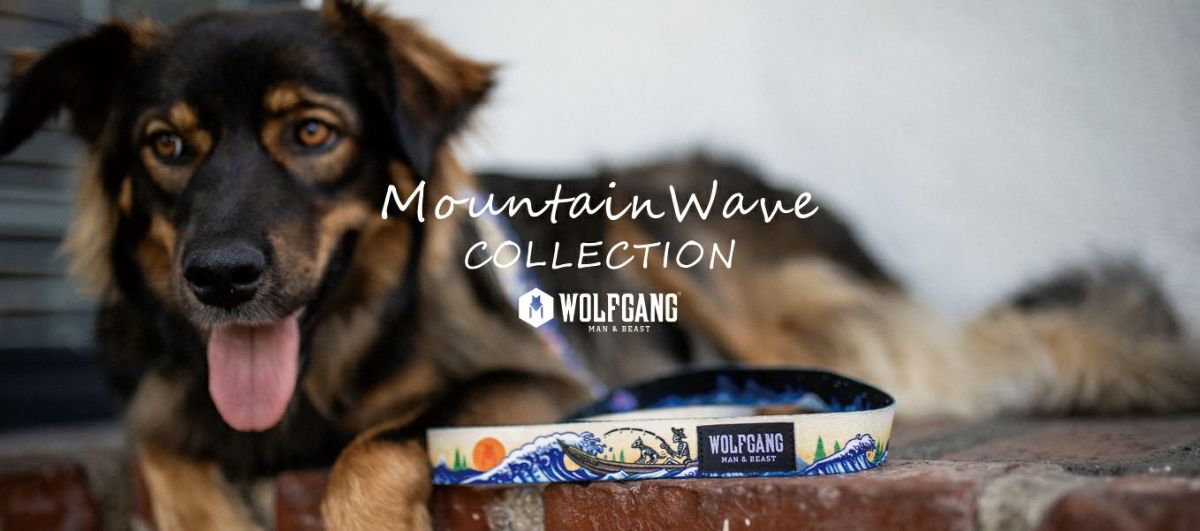 MountainWave HARNESS ( L size ) | WOLFGANG