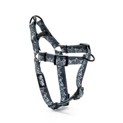 WolfMountain Harness ( M size ) | WOLFGANG