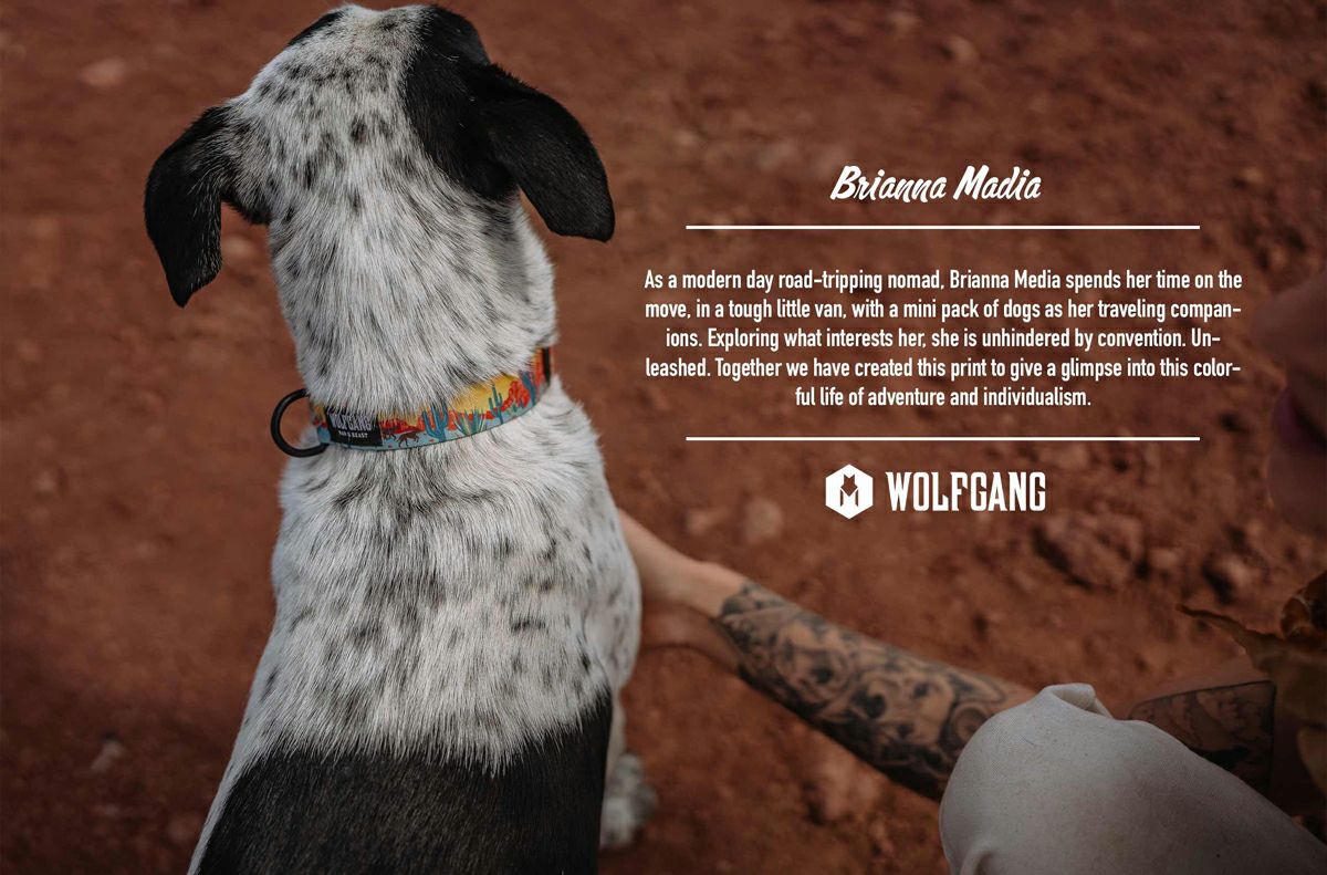 PackLeader Collar ( S size ) | WOLFGANG