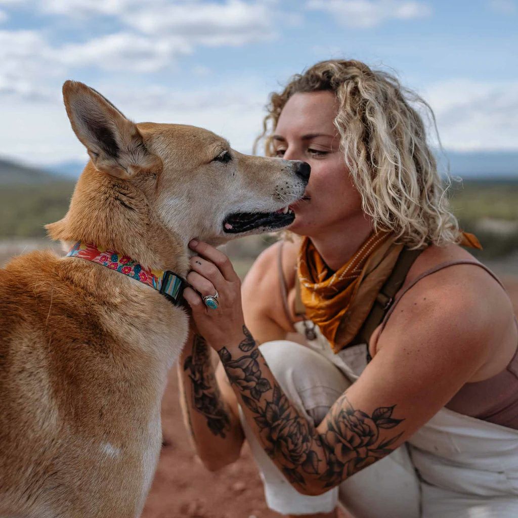 PackLeader Harness ( S size ) | WOLFGANG