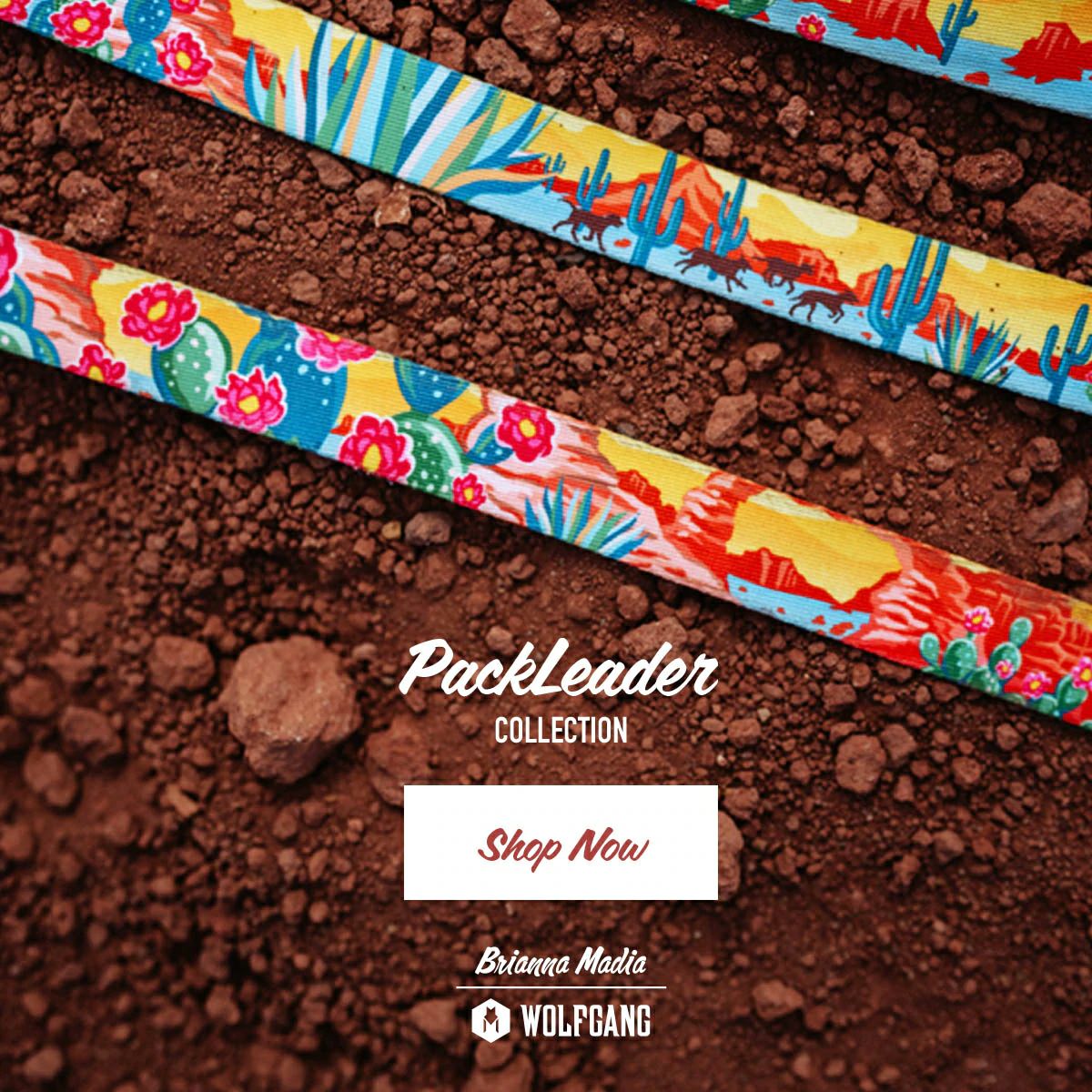 PackLeader Harness ( S size ) | WOLFGANG