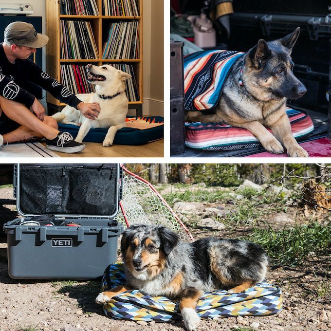 Roamer DOG BED OverLand MEDIUM | WOLFGANG