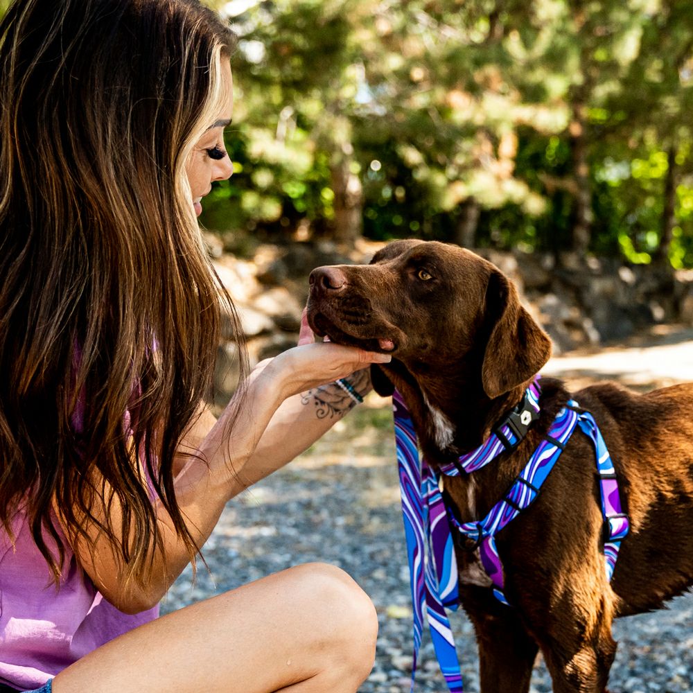 MarbleWave Collar ( L size ) | WOLFGANG