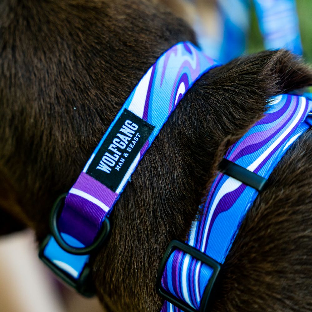 MarbleWave Collar ( L size ) | WOLFGANG
