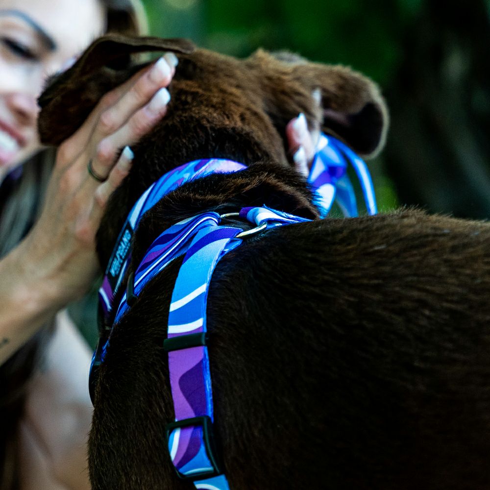 MarbleWave Harness ( L size ) | WOLFGANG