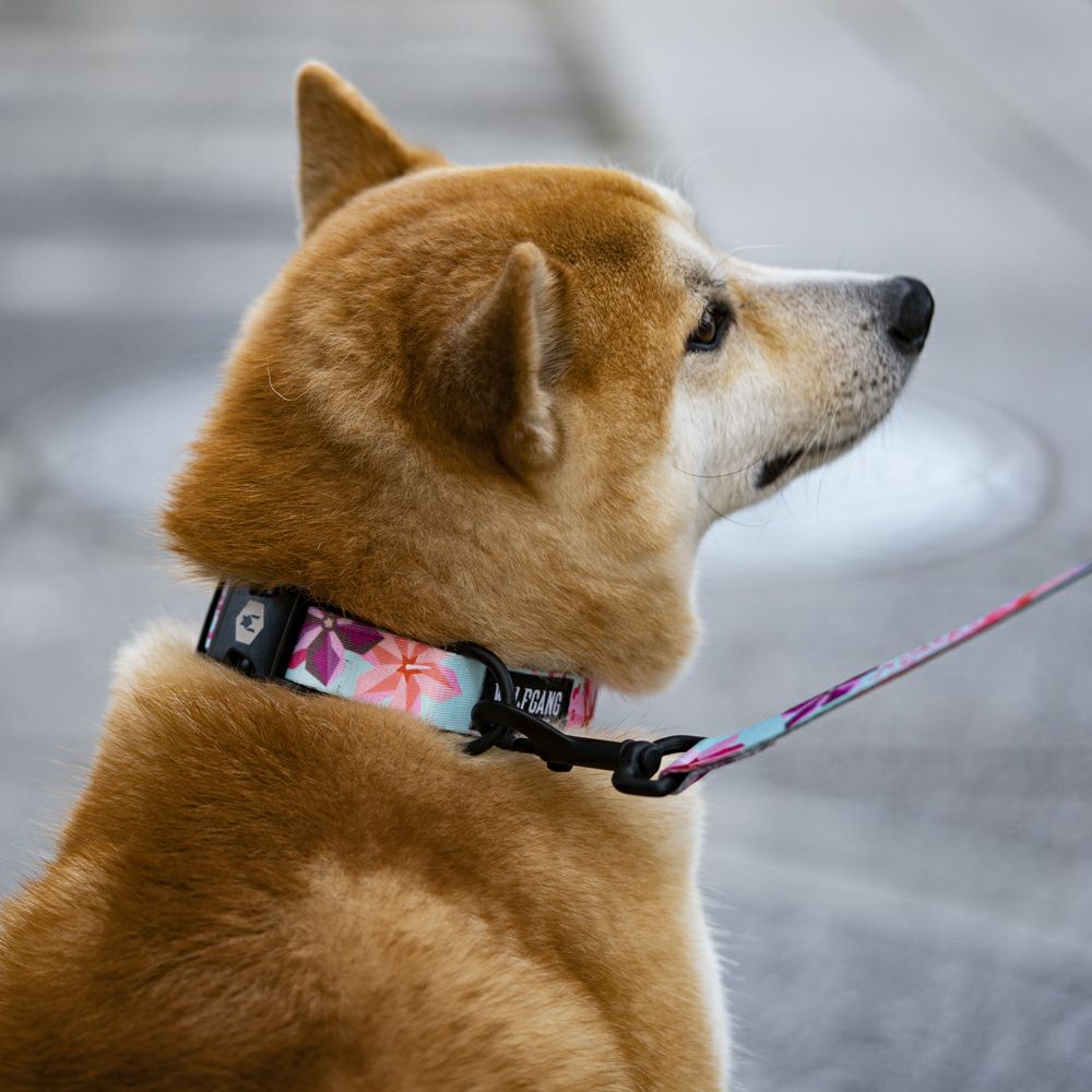 DigiFloral Harness ( M size ) | WOLFGANG