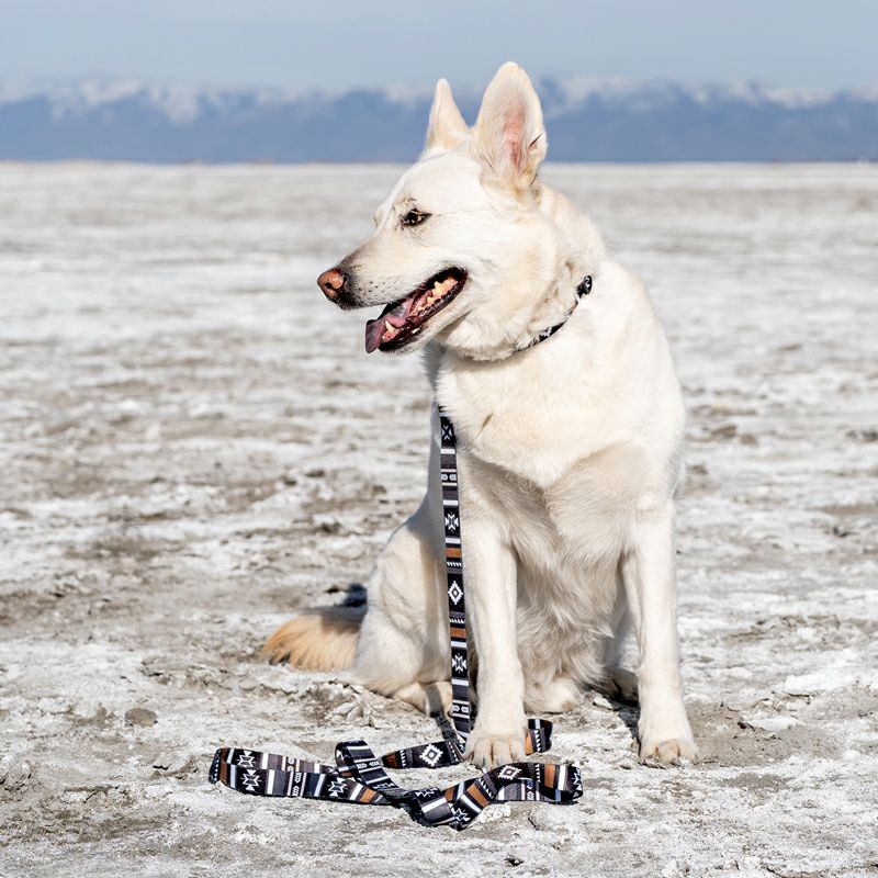 NewMoon HARNESS ( L size ) | WOLFGANG