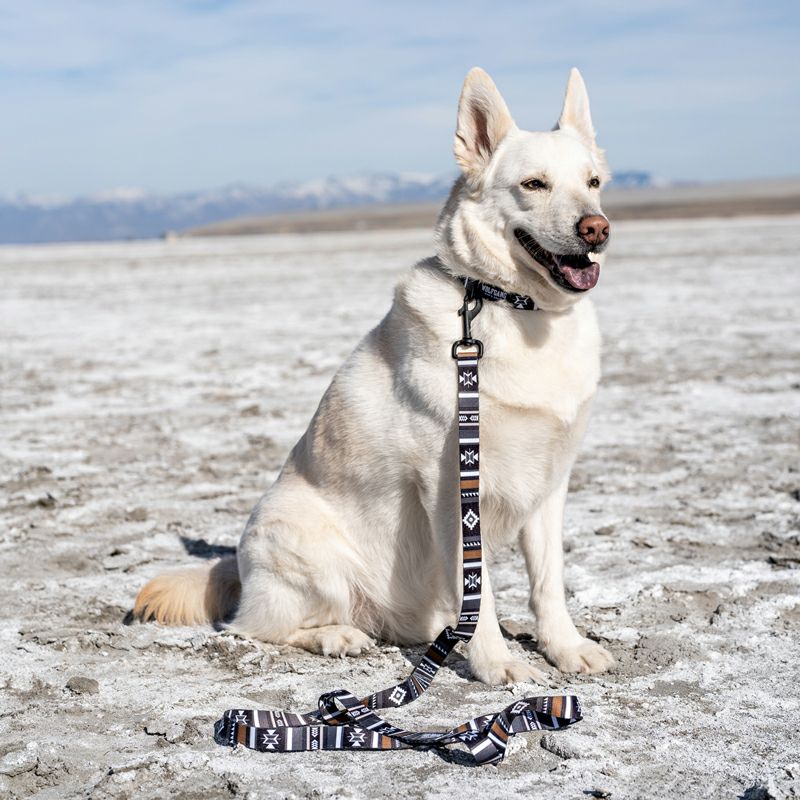 NewMoon HARNESS ( L size ) | WOLFGANG