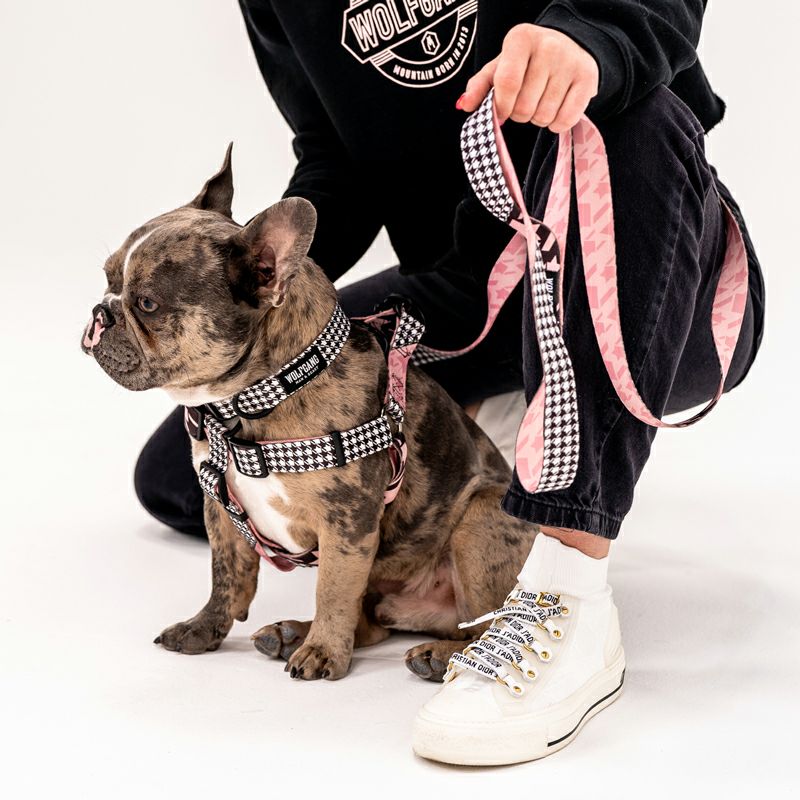 HoundsPink COLLAR ( S size ) | WOLFGANG