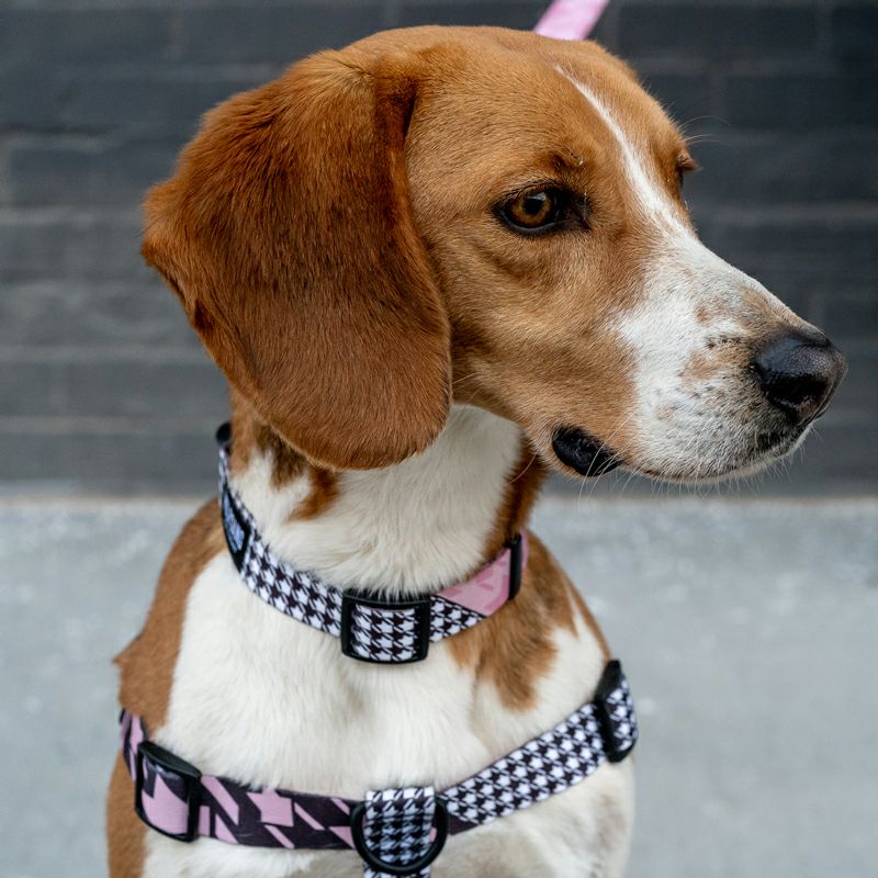 HoundsPink HARNESS ( L size ) | WOLFGANG