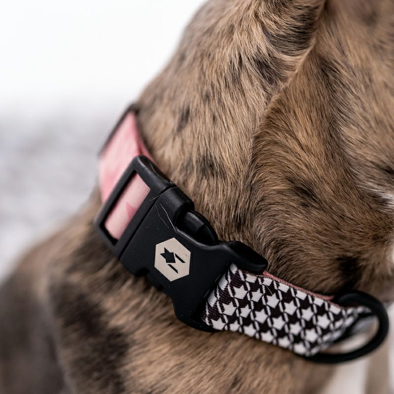 HoundsPink HARNESS ( M size ) | WOLFGANG