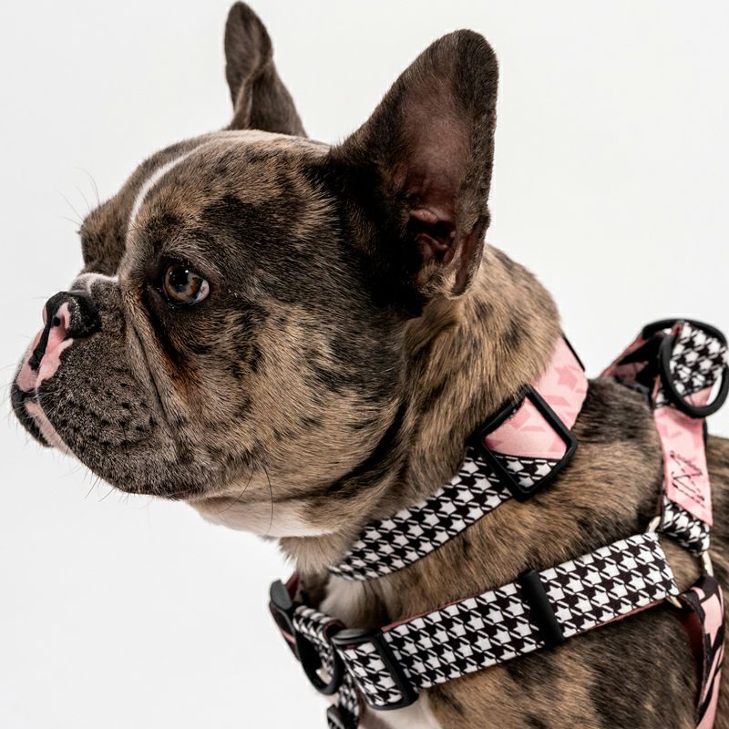 HoundsPink HARNESS ( M size )