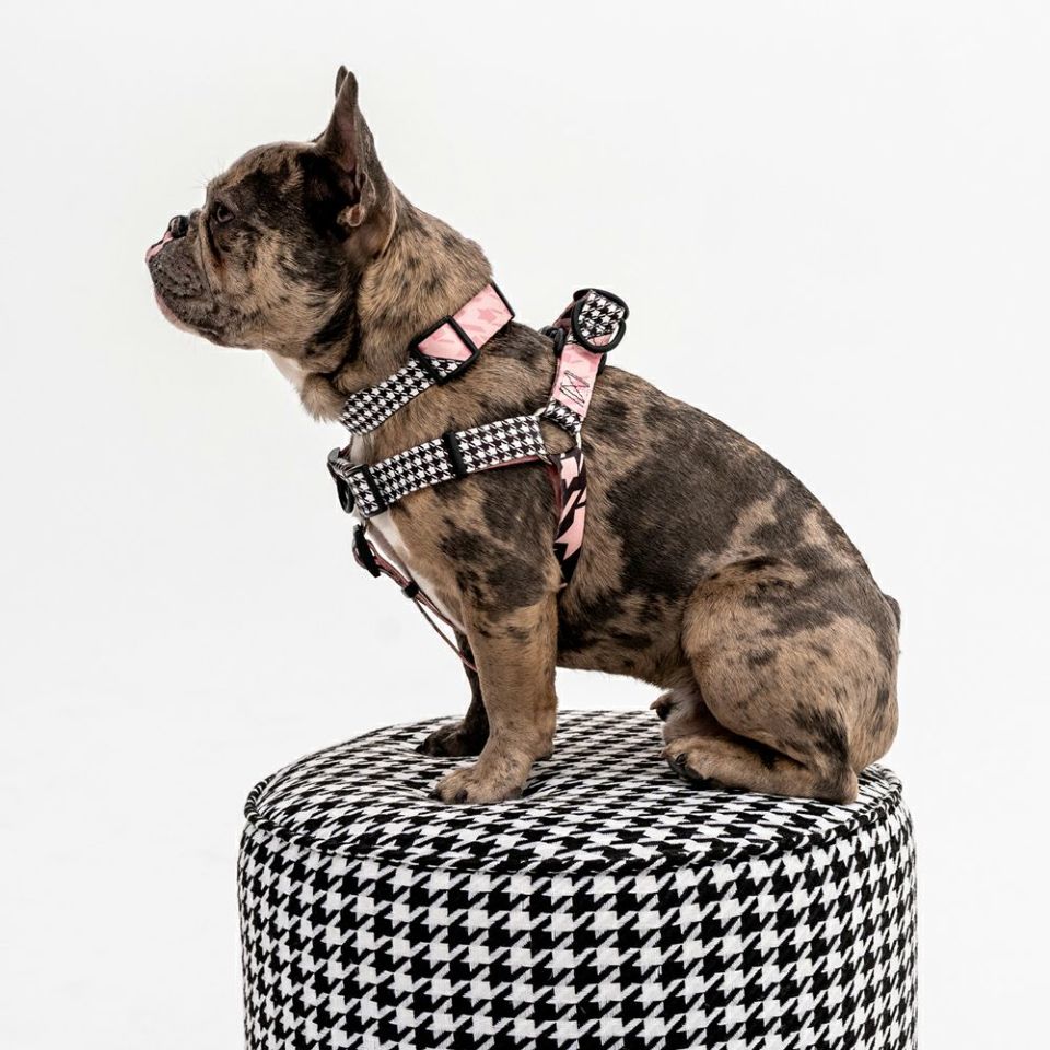 HoundsPink HARNESS ( M size )