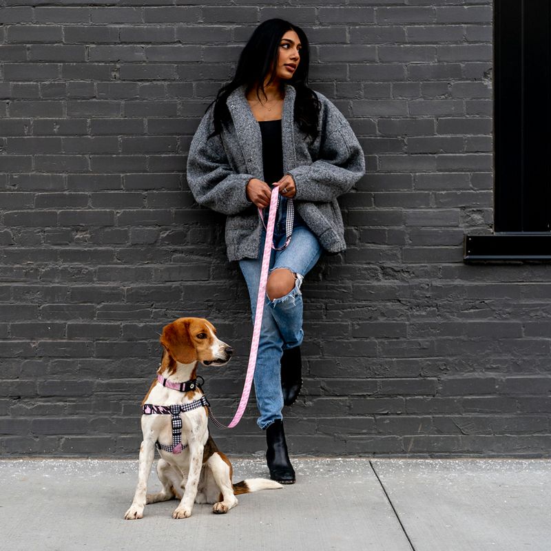 HoundsPink HARNESS ( M size ) | WOLFGANG