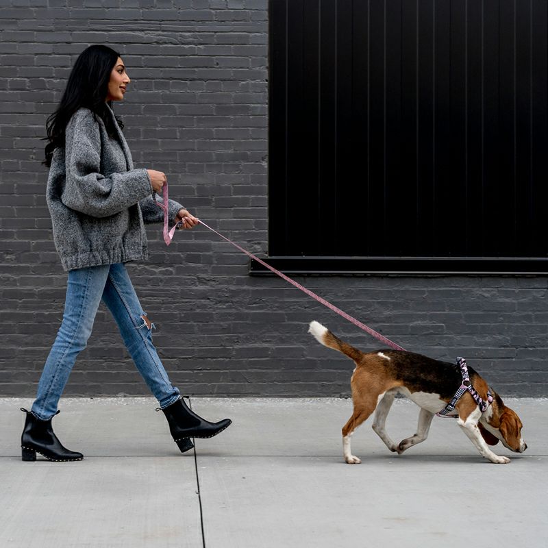 HoundsPink HARNESS ( M size ) | WOLFGANG