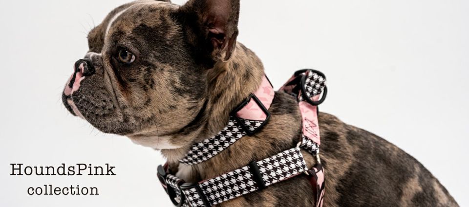 爆買いしたい HoundsPink HARNESS WOLFGANG | ) size M ( 首輪・ハーネス・リード