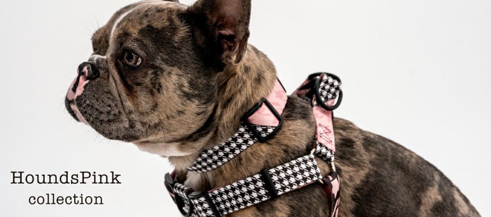 HoundsPink LEASH ( M size ) | WOLFGANG