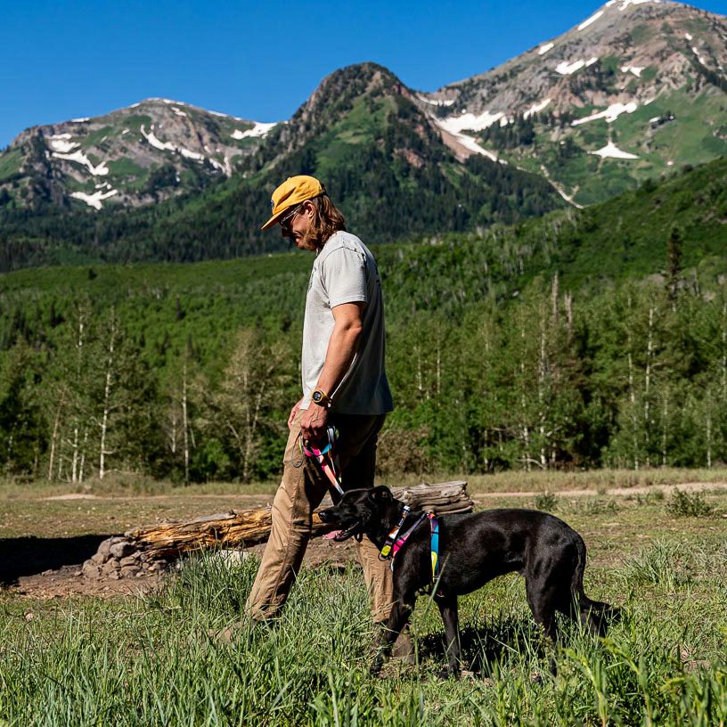 BoneYard Harness ( M size ) | WOLFGANG