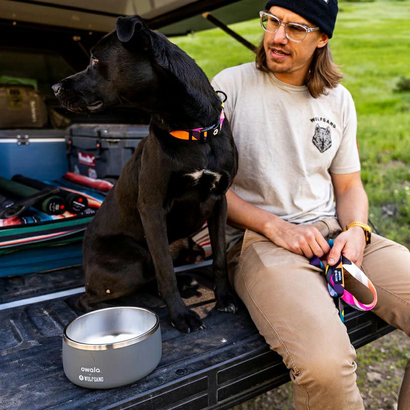 BoneYard Harness ( M size ) | WOLFGANG