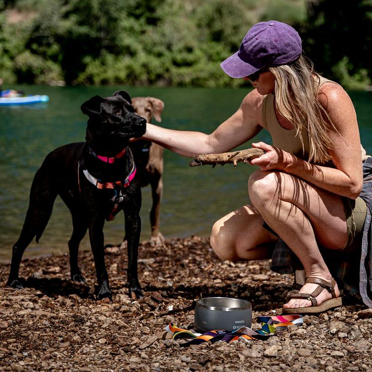 BoneYard Harness ( M size ) | WOLFGANG