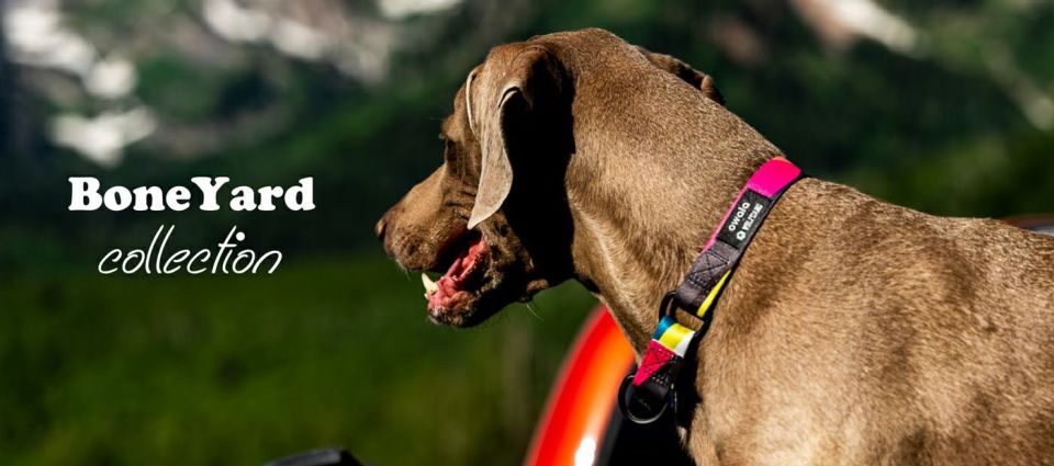 BoneYard Harness ( M size ) | WOLFGANG