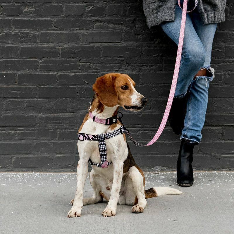 HoundsPink HARNESS XL size WOLFGANG