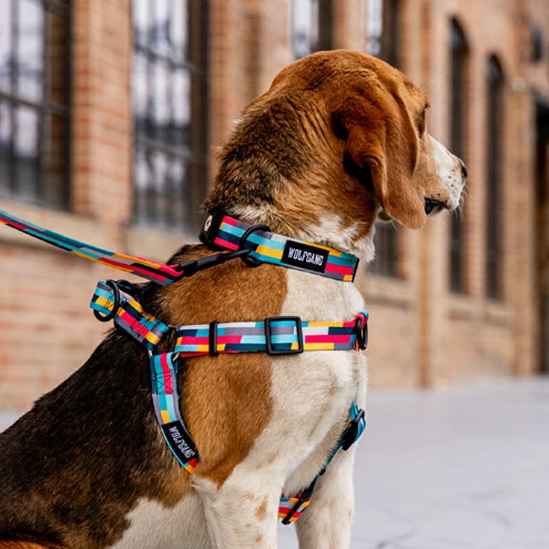 MixTape Collar ( L size ) | WOLFGANG