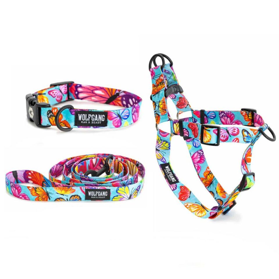 FlutterColor Collar ( M size ) | WOLFGANG