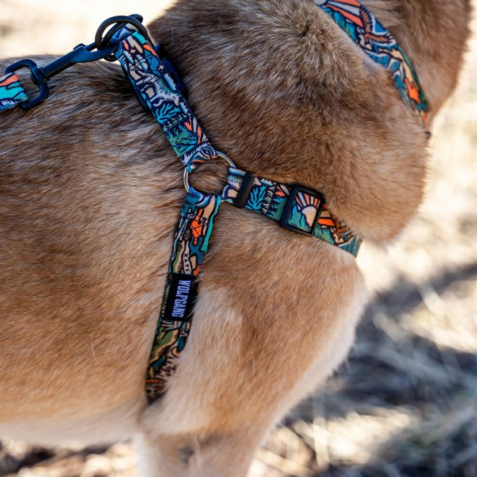 WildWolf COLLAR ( L size ) | WOLFGANG