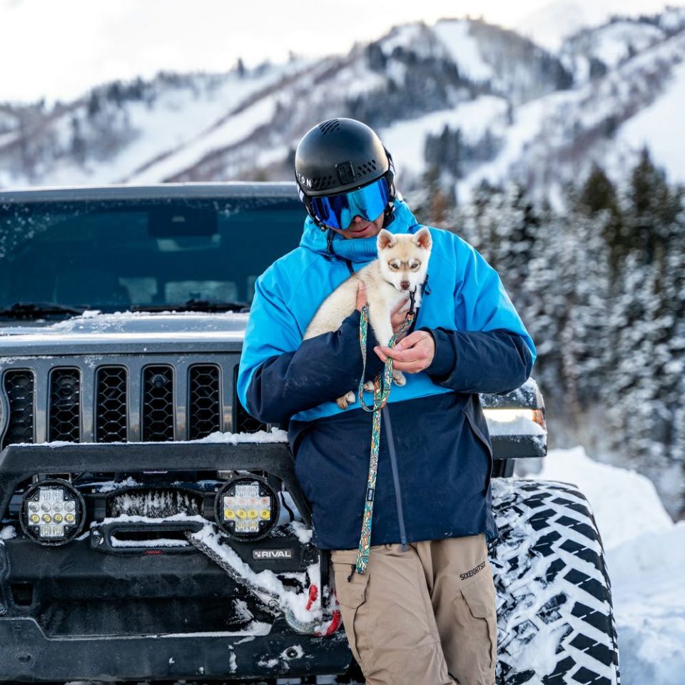 WildWolf HARNESS ( M size ) | WOLFGANG