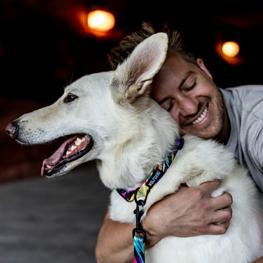 FuzzyTails Harness ( M size ) | WOLFGANG