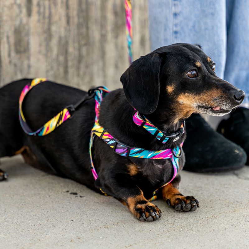 レトロフィット