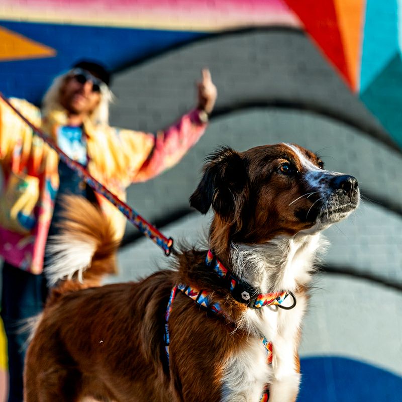 マウンテンバイブス