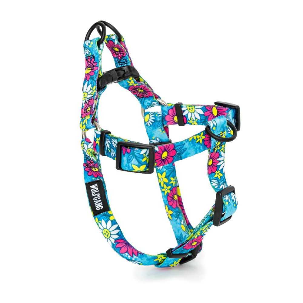 LazyDaisy HARNESS ( S size ) | WOLFGANG