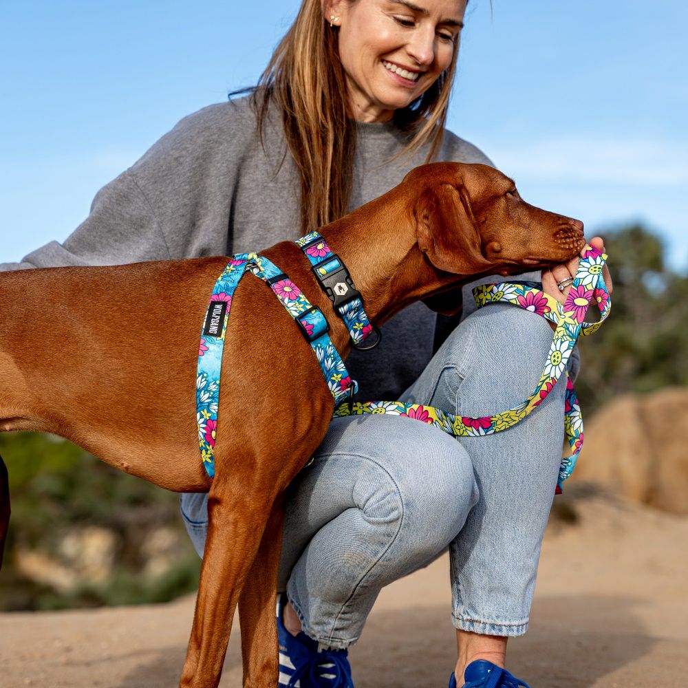 LazyDaisy HARNESS ( S size ) | WOLFGANG